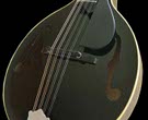 Michael Heiden custom mandolins