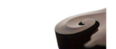 Heiden Stringed Instruments